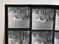 NEWLY FOUND! Hendrickson PHOTO Contact Sheet Proof & Negatives VICTORIAN COUPLES