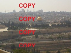 Digital Image Photo Picture JPEG