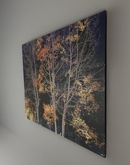 Rodney Lough Jr. «Silver Aspen» Limited Edition #83/500 French Cleat 26×22”
