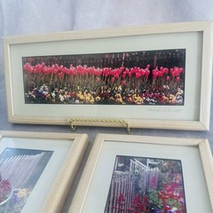 Signed Joseph Barnett Floral Photo Prints Set Maine Artist Framed Garden 6×12