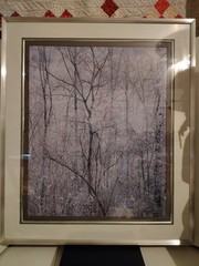 Eliot Porter Print Redbud Tree In Bottom Land Formatting’s Professional Framed