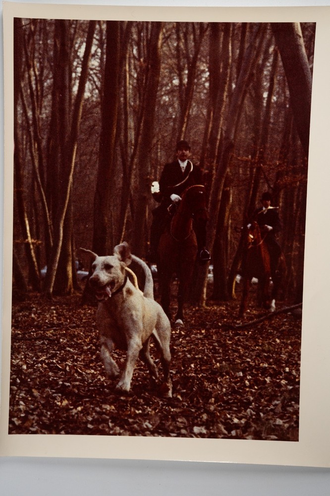Vintage Analog Photo France Hunting Foxhunting Horse 24X30Cm 1970