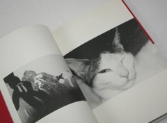 Nobuyoshi Araki Cat Chiro My Love Photo Book JAPAN