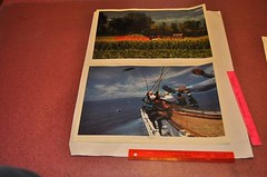 The Search for Food — Portfolio of 16 color photographs for Heinz | Jay Maisel