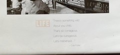 Vintage Print «Flying Straws» by Wallace Kirkland with quote by Cole Porter