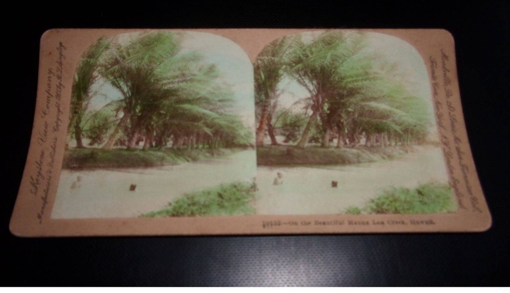 Photograph On Cardboard . 2MOI10422.1900 Around Mauna Loa Creek Hawaii . 18 X