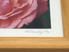 Pair of WALL ART Framed, Signed & Matted Floral Photographs B.A. Schmeding 6/99