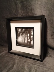 2 Modern Black & White Photography Trees Minimalist Moody 11.25 » Square Frames
