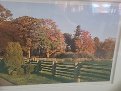 Martha Stewart »’SET OF 4 FRAMES OF YOUR CHOICE »’ NEW