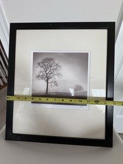 Richard Calvo ‘In Just Spring’ Framed Black & White Landscape Tree Photograph