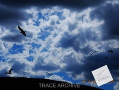 Nature Landscape Photography | Digital Download Image – Background Wallpaper L10