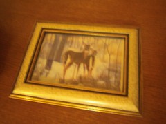 Pictures Deer and fox in winter Two Glass framed About 6 x 8 inches