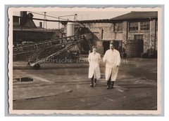 Fabrik Förderband Industrie Berufe – Atles Foto