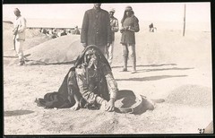 Photograph African folk types, Bedouin woman in costume sifting sand