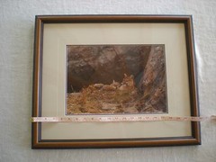 Thomas Mangelsen «Mother’s Love Mountain Lions» Out of Print, Original Signed