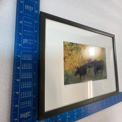 Moose Call Photo Signed Framed & Numbered 30/500 Willie Holdman FoundArtShop