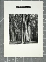 Lynn Geesaman (1838-2020) Art Show Announcement Card 2001