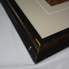 THOMAS MANGELSEN SIGNED 1994 SECRETS OF THE SAVANNAH LE 118/950 10X14 IMAGE FRM