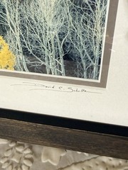 David C. Schultz Signed Limited Edition Numbered 14/250 Trees Landscape Photo