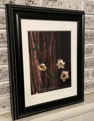 «Dogwood» Rodney Lough Jr -Open Edition Print – Yosemite National Park