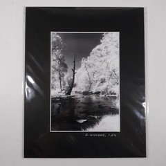 Black Mat Photo Landscape Park Infrared Photography Limited Ed 1/2 Signed Print