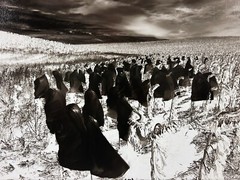 DODO JIN MING 20th-21st c. Chinese ORIGINAL PHOTOGRAPH Behind My Eyes