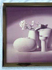 Large GREG COPELAND Fine Art Photograph SEPTEMBER STILL LIFE Flower Signed 1982