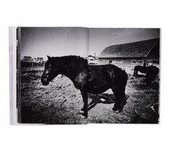 Daido Moriyama HOKKAIDO Photo Book Hardcover Limited to 1500 Rare Art
