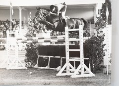 Vintage Film Photo France Equestrian Horse Show Jumping 18X24cm 1970