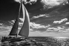 Premium Digital Art Image – HD Wallpaper Background FREE SHIPPING 010