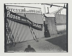 Heinrich Zille, the roses from the south, photograph from the estate, 1900/1997