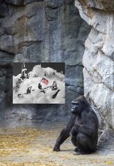 Beautiful composite photograph mounted on board. Ape Force NOT AI.