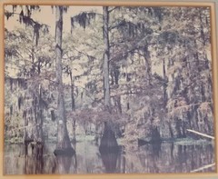 Original 1985 Cypress Swamp Watercolor Painting – Framed Southern Folk Art