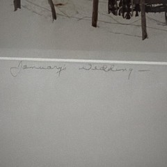 VTG Signed Number184/500 Bill Coleman Photograph AMISH No. 310 January’s Wedding