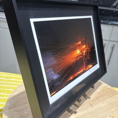 Photograph Print Titled Burning Tree” Signed By Paul Kitagak Jr. F-10”x12.75”