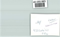 40055883 – 5584 Bullay Local View