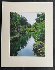 11 X 14 Photo in matte – signed by photographer Marie Whitton- BAHAMAS