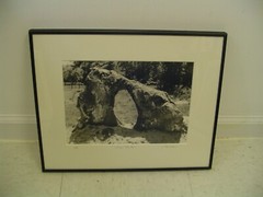 ART PHOTOGRAPHY «The Rock» Rock in dirt pic B&W by L Santucci Wood Frame 13x16in
