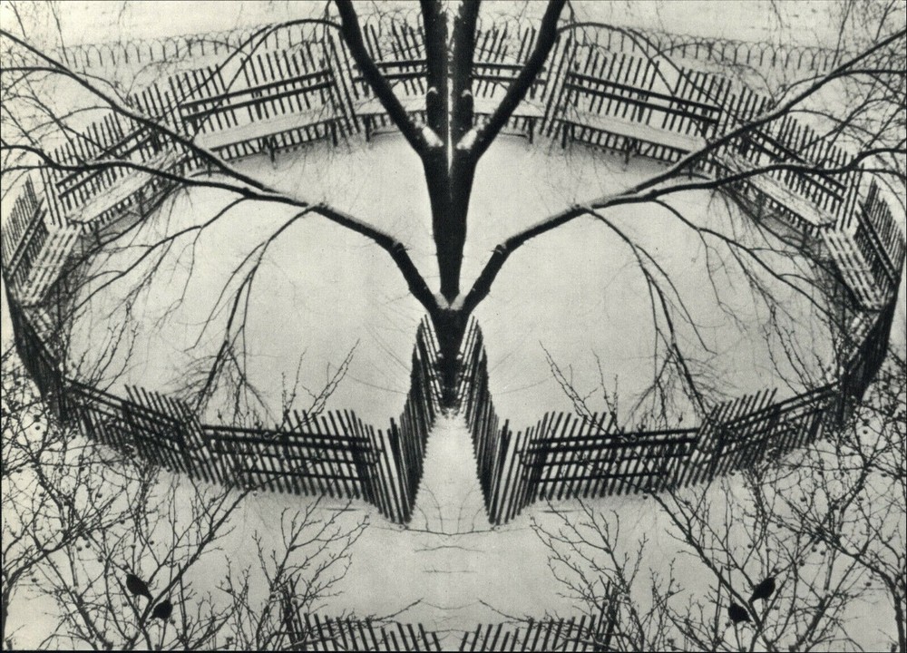 1970 1972 Andre Kertesz Snowey Winter Garden Fence Tree Art Photo Photogravure