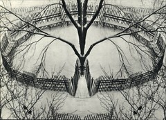 1970 1972 Andre Kertesz Snowey Winter Garden Fence Tree Art Photo Photogravure