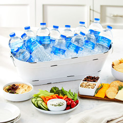 Sam’s Purified Drinking Water Bottles, 20 fl oz, 28 Count [FREE SHIPPING]