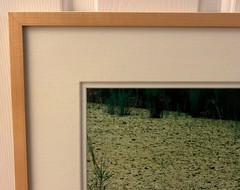 Original Signed Photograph Boats in Bali with Lily Pads by Robert Barab