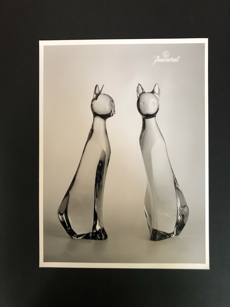 Rare Official Vintage Baccarat – France Fine art B&W Photo (Rigot Cats)