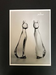 Rare Official Vintage Baccarat – France Fine art B&W Photo (Rigot Cats)