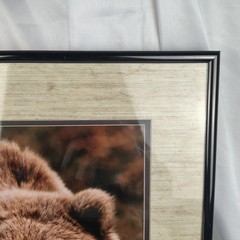 Johnny Johnson Bear Photograph Signed Numbered Vintage