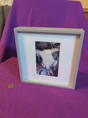 Cow Steer Skull Card Photo Framed And Matted, 8.5″ X 8.5″