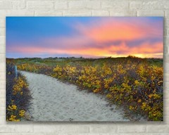 Cape Cod Sand Dunes, Beach Sunset Art – Fine Art Photo on Metal, Canvas or Paper