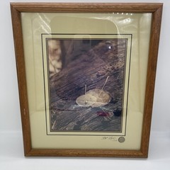 Art Gore Signed & Numbered Framed Leaf Photograph