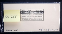 Boris Starosta 3D Stereoview – Selene A105- nude model signed 2018 #255