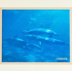 Vintage Solid Oak Frame w/ Art Photo Print Picture Hawaiian Ocean Scene Dolphins